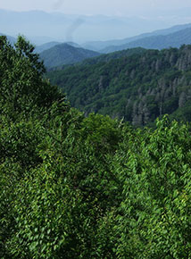 Great Smoky Mountain National Park