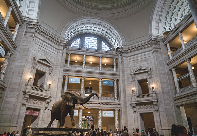 Top Museums in North America